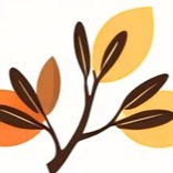FG Physiotherapy Studio